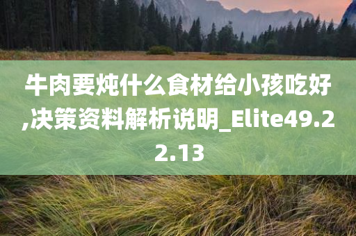 牛肉要炖什么食材给小孩吃好,决策资料解析说明_Elite49.22.13