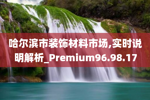 哈尔滨市装饰材料市场,实时说明解析_Premium96.98.17