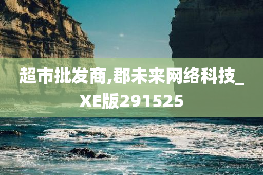 超市批发商,郡未来网络科技_XE版291525