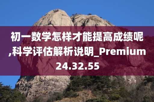 初一数学怎样才能提高成绩呢,科学评估解析说明_Premium24.32.55