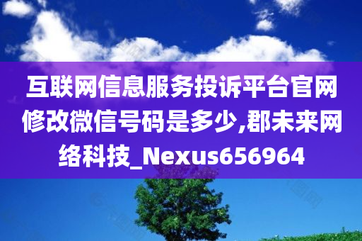 互联网信息服务投诉平台官网修改微信号码是多少,郡未来网络科技_Nexus656964