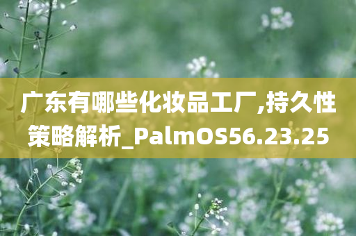 广东有哪些化妆品工厂,持久性策略解析_PalmOS56.23.25