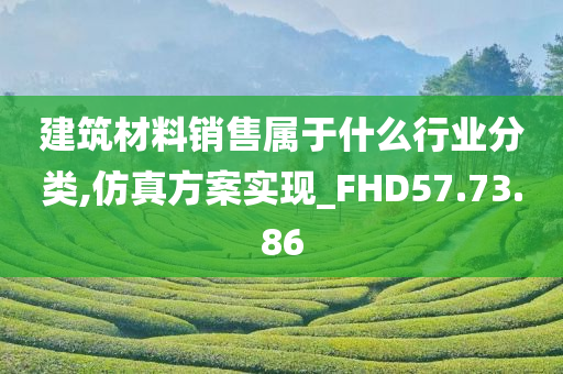 建筑材料销售属于什么行业分类,仿真方案实现_FHD57.73.86