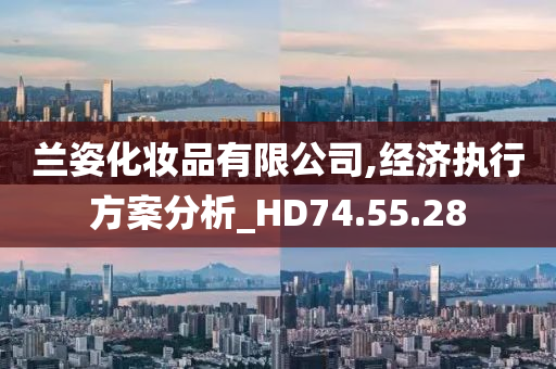 兰姿化妆品有限公司,经济执行方案分析_HD74.55.28