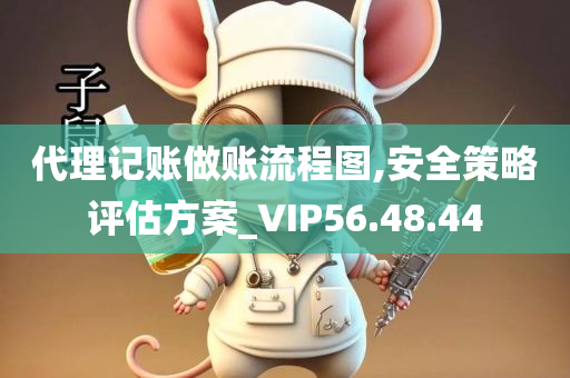 代理记账做账流程图,安全策略评估方案_VIP56.48.44