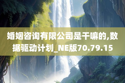 婚姻咨询有限公司是干嘛的,数据驱动计划_NE版70.79.15