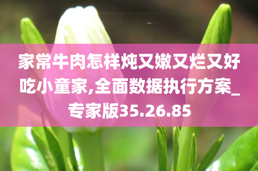 家常牛肉怎样炖又嫩又烂又好吃小童家,全面数据执行方案_专家版35.26.85