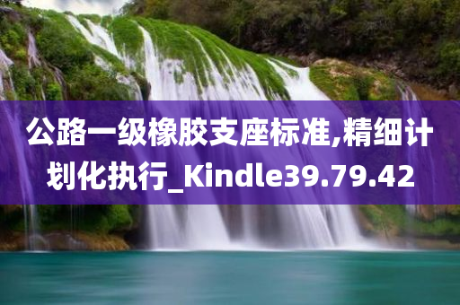 公路一级橡胶支座标准,精细计划化执行_Kindle39.79.42