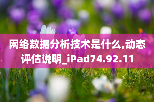 网络数据分析技术是什么,动态评估说明_iPad74.92.11