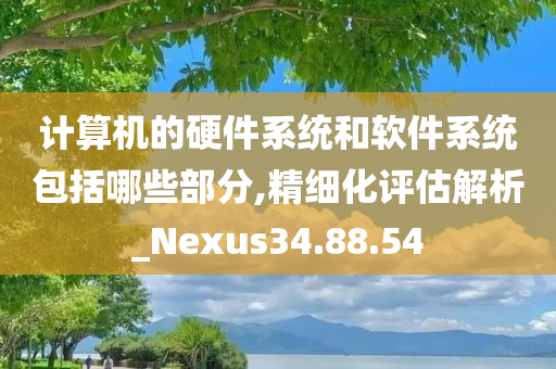 计算机的硬件系统和软件系统包括哪些部分,精细化评估解析_Nexus34.88.54