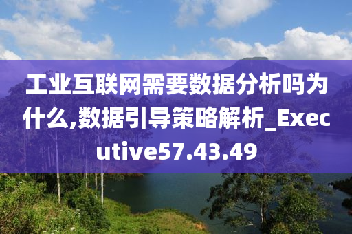 工业互联网需要数据分析吗为什么,数据引导策略解析_Executive57.43.49