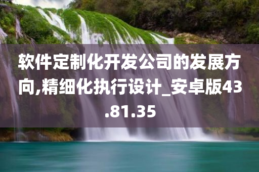 软件定制化开发公司的发展方向,精细化执行设计_安卓版43.81.35