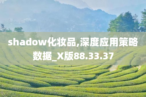 shadow化妆品,深度应用策略数据_X版88.33.37