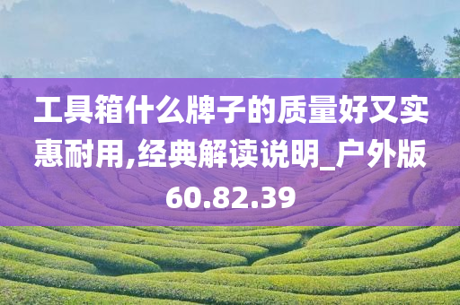 工具箱什么牌子的质量好又实惠耐用,经典解读说明_户外版60.82.39