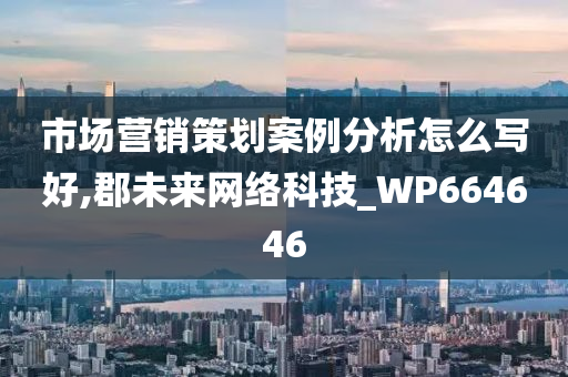 市场营销策划案例分析怎么写好,郡未来网络科技_WP664646