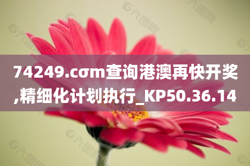 74249.cσm查询港澳再快开奖,精细化计划执行_KP50.36.14