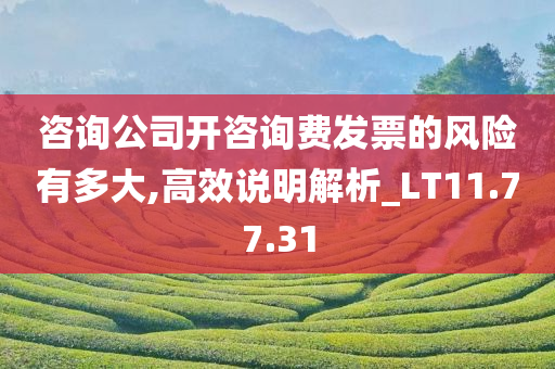 咨询公司开咨询费发票的风险有多大,高效说明解析_LT11.77.31