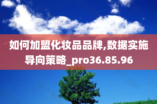 如何加盟化妆品品牌,数据实施导向策略_pro36.85.96