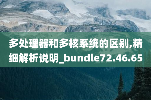 多处理器和多核系统的区别,精细解析说明_bundle72.46.65