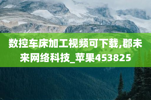 数控车床加工视频可下载,郡未来网络科技_苹果453825