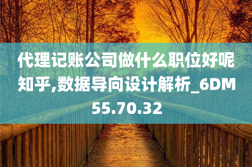 代理记账公司做什么职位好呢知乎,数据导向设计解析_6DM55.70.32