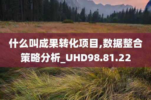 什么叫成果转化项目,数据整合策略分析_UHD98.81.22