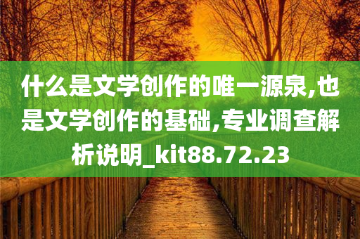 什么是文学创作的唯一源泉,也是文学创作的基础,专业调查解析说明_kit88.72.23