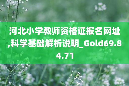 河北小学教师资格证报名网址,科学基础解析说明_Gold69.84.71