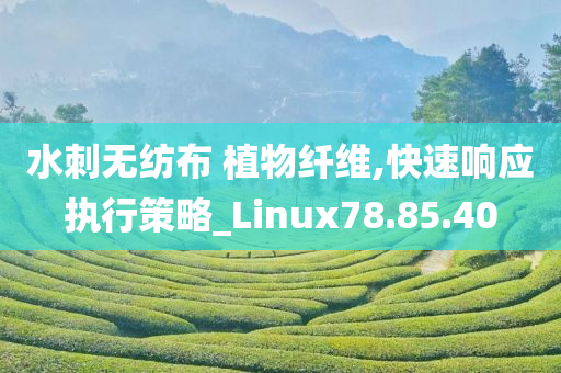 水刺无纺布 植物纤维,快速响应执行策略_Linux78.85.40