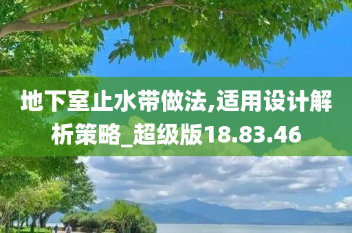 地下室止水带做法,适用设计解析策略_超级版18.83.46