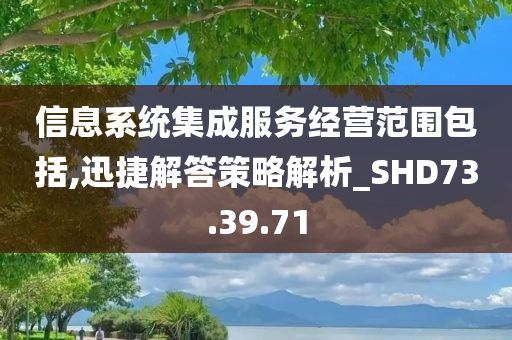 信息系统集成服务经营范围包括,迅捷解答策略解析_SHD73.39.71