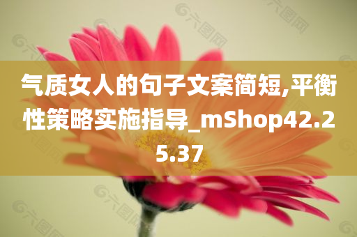 气质女人的句子文案简短,平衡性策略实施指导_mShop42.25.37