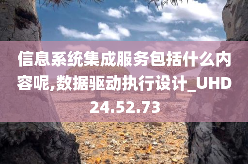 信息系统集成服务包括什么内容呢,数据驱动执行设计_UHD24.52.73