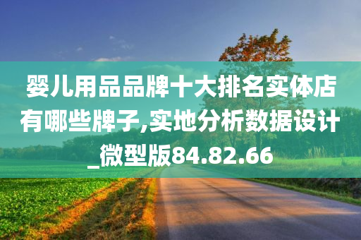 婴儿用品品牌十大排名实体店有哪些牌子,实地分析数据设计_微型版84.82.66