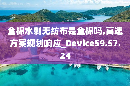 全棉水刺无纺布是全棉吗,高速方案规划响应_Device59.57.24