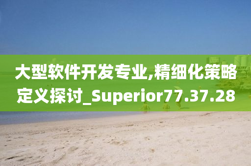 大型软件开发专业,精细化策略定义探讨_Superior77.37.28