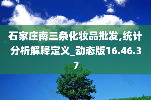 石家庄南三条化妆品批发,统计分析解释定义_动态版16.46.37