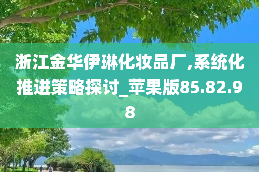 浙江金华伊琳化妆品厂,系统化推进策略探讨_苹果版85.82.98