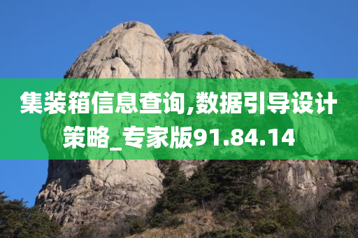 集装箱信息查询,数据引导设计策略_专家版91.84.14