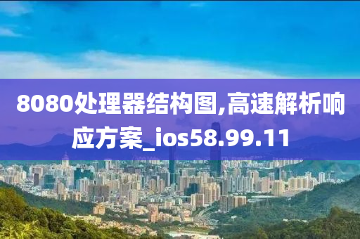 8080处理器结构图,高速解析响应方案_ios58.99.11