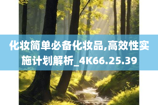 化妆简单必备化妆品,高效性实施计划解析_4K66.25.39