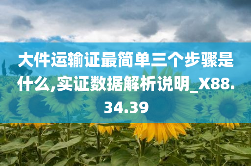 大件运输证最简单三个步骤是什么,实证数据解析说明_X88.34.39