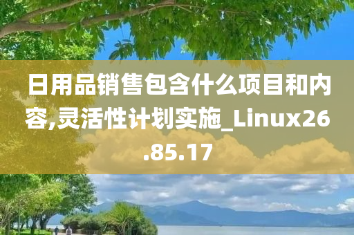 日用品销售包含什么项目和内容,灵活性计划实施_Linux26.85.17