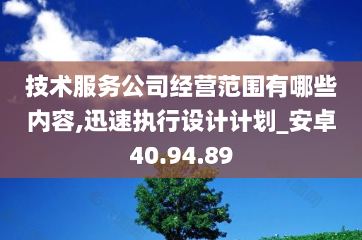 技术服务公司经营范围有哪些内容,迅速执行设计计划_安卓40.94.89