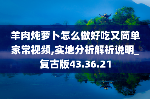 羊肉炖萝卜怎么做好吃又简单家常视频,实地分析解析说明_复古版43.36.21