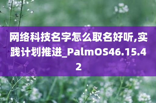 网络科技名字怎么取名好听,实践计划推进_PalmOS46.15.42