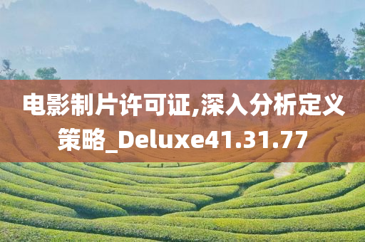 电影制片许可证,深入分析定义策略_Deluxe41.31.77