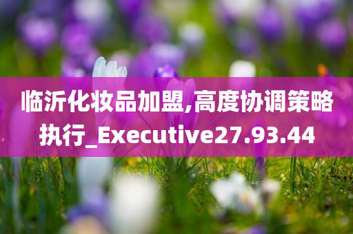 临沂化妆品加盟,高度协调策略执行_Executive27.93.44