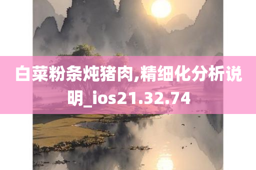 白菜粉条炖猪肉,精细化分析说明_ios21.32.74