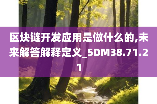 区块链开发应用是做什么的,未来解答解释定义_5DM38.71.21